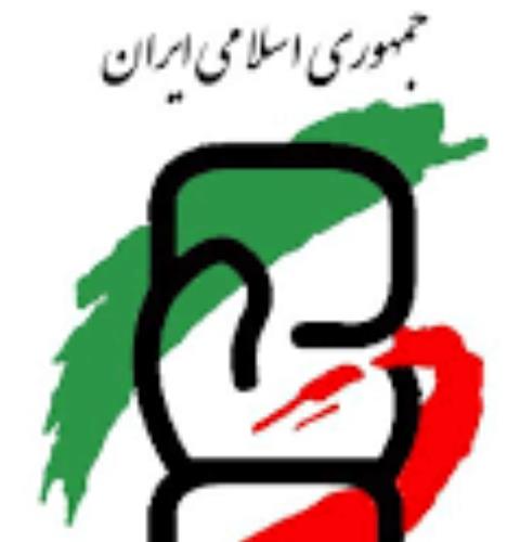 هیات ورزشی بوکس