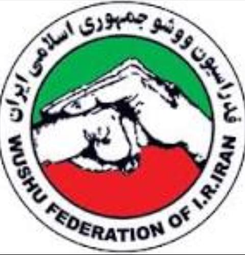 هیات ووشو