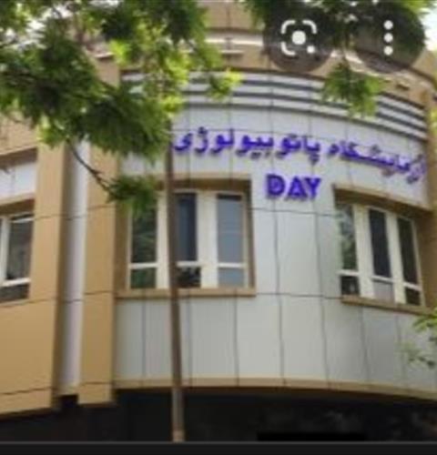 ازمایشگاه دی